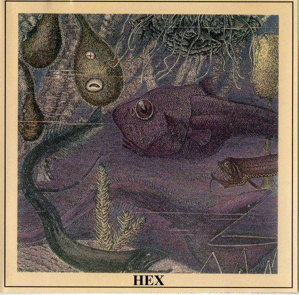 Vinyl Hex - Hex