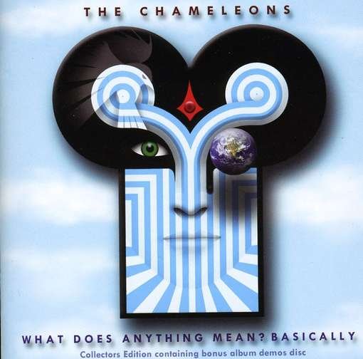 CD The Chameleons - CHAMELEONS - WHAT DOES ANYTHING MEAN