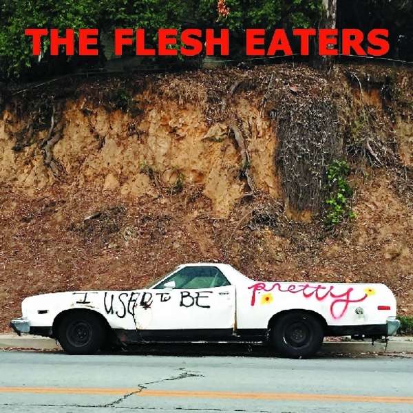 Vinyl - FLESH EATERS - I USED TO BE PRETTY
