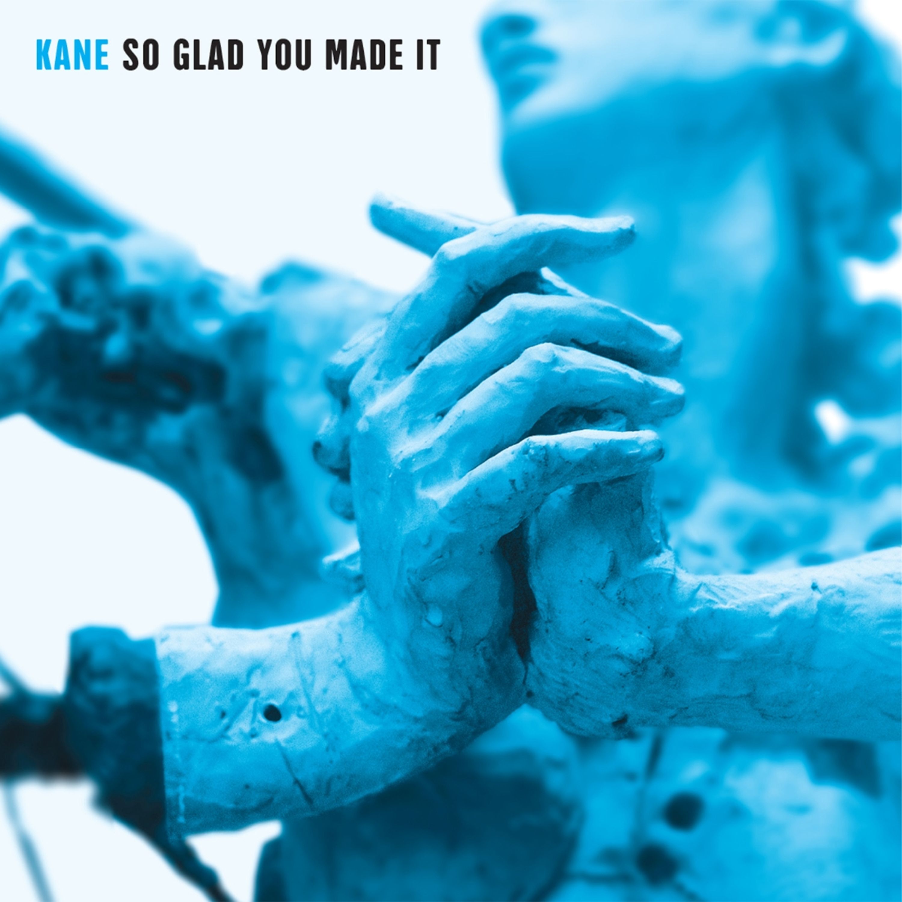 Vinyl Eden Kane - So Glad You Made It