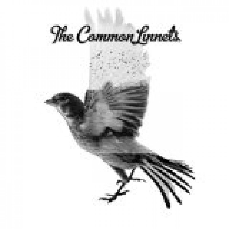 CD The Common Linnets - THE COMMON LINNETS