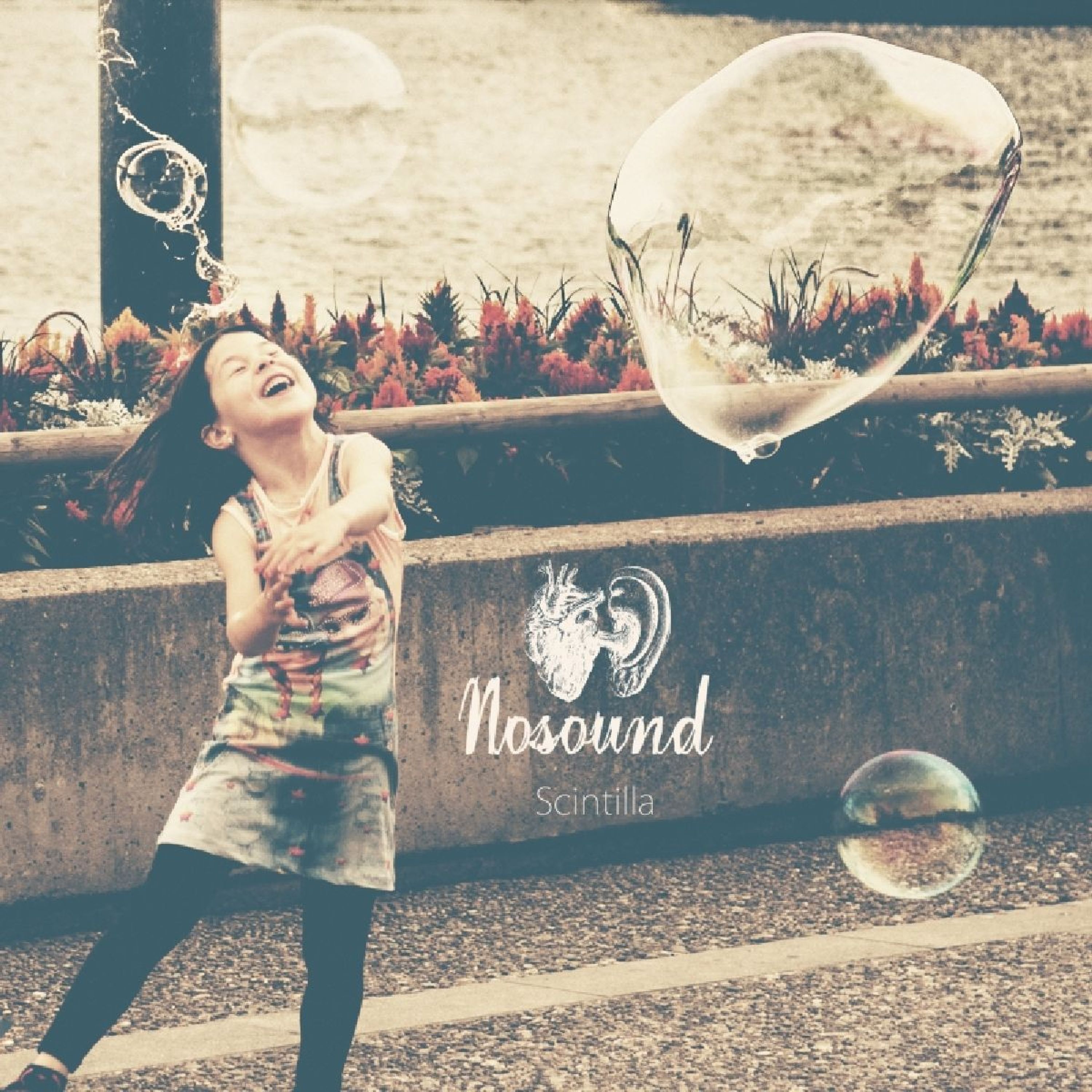 Vinyl Nosound - SCINTILLA