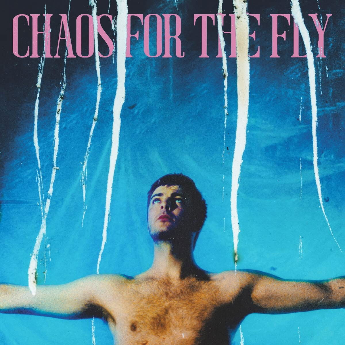 CD Grian Chatten - CHAOS FOR THE FLY