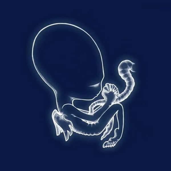Vinyl Sigur Rós - ÁGATIS BYRJUN