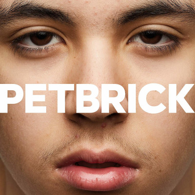 Vinyl PETBRICK - I
