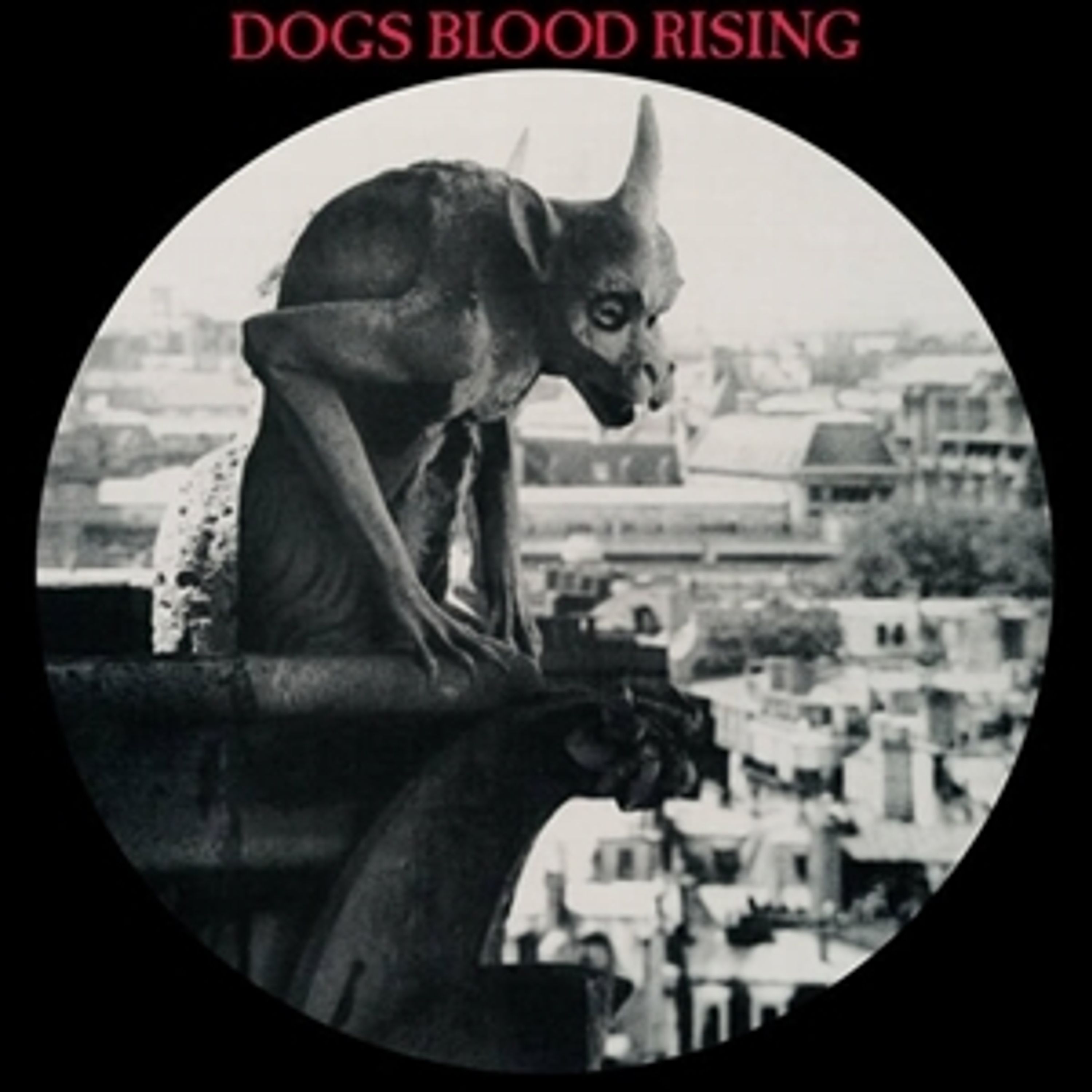 Vinyl Current 93 - CURRENT 93 - DOGS BLOOD RISING