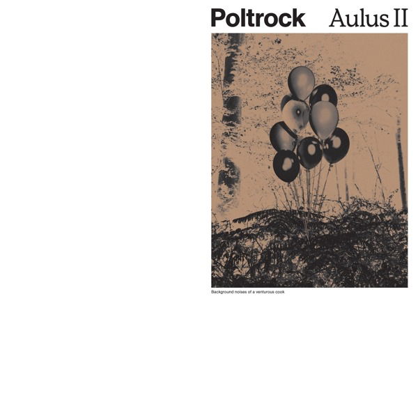 Vinyl Poltrock - AULUS II