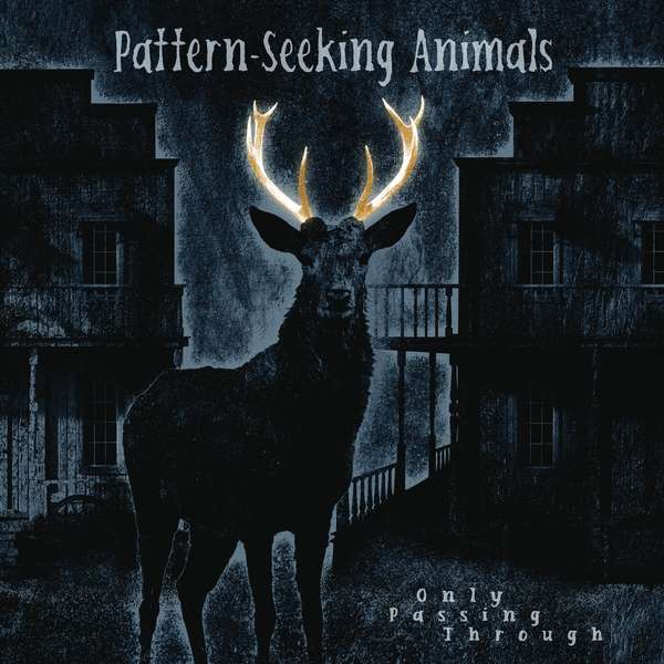 Vinyl Pattern-Seeking Animals - Seeking Animals - Only Passing Through