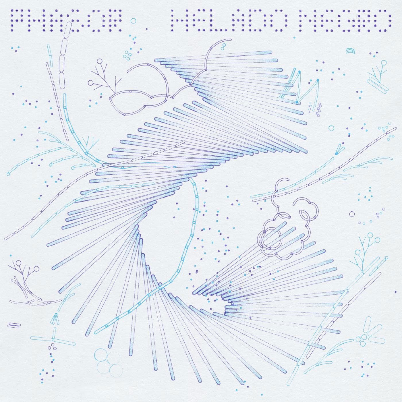 Vinyl Helado Negro - PHASOR