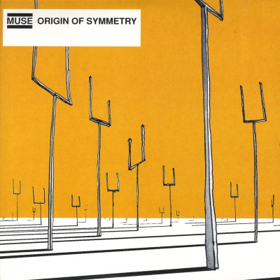 Vinyl Muse - ORIGIN OF SYMMETRY