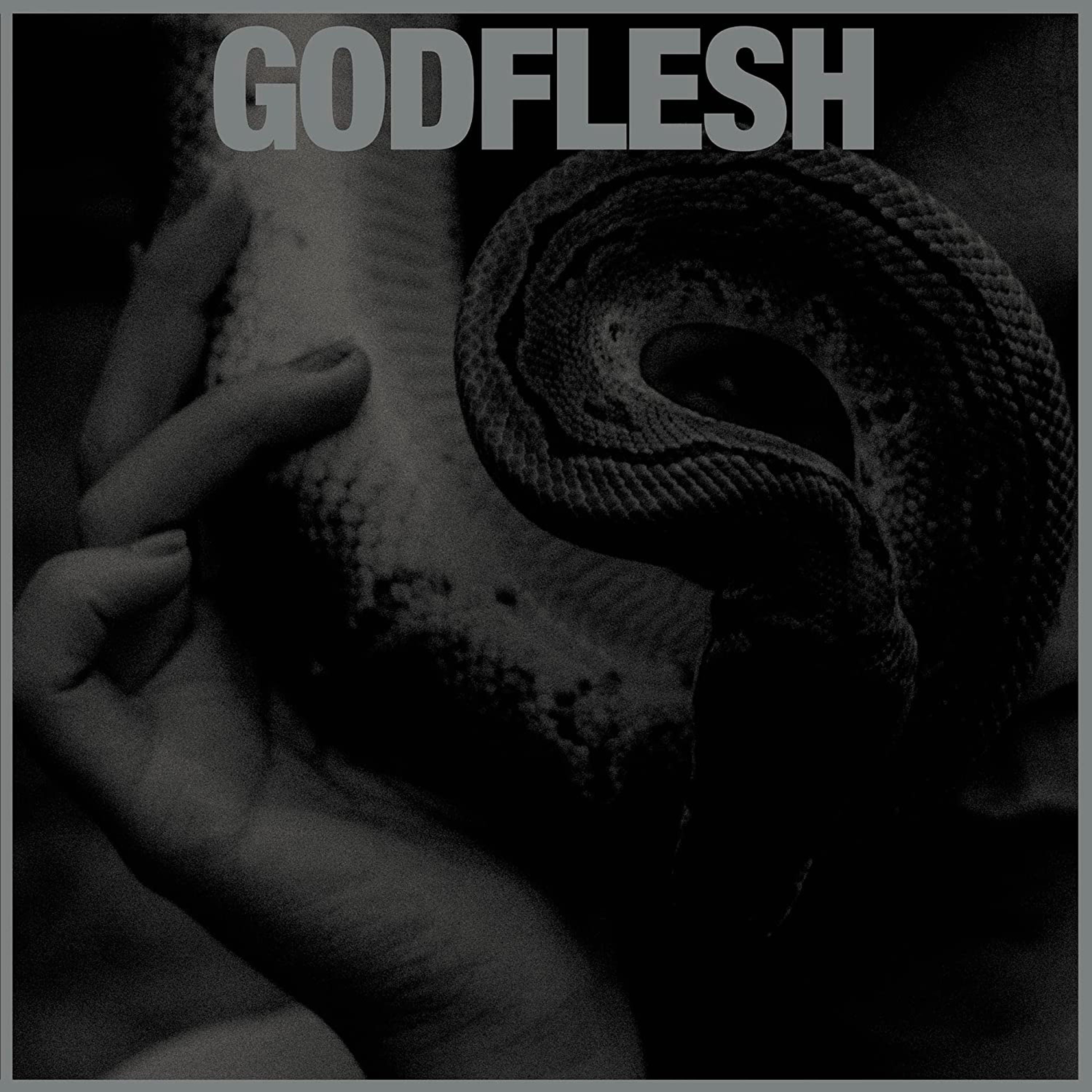 CD Godflesh - GODFLESH - PURGE
