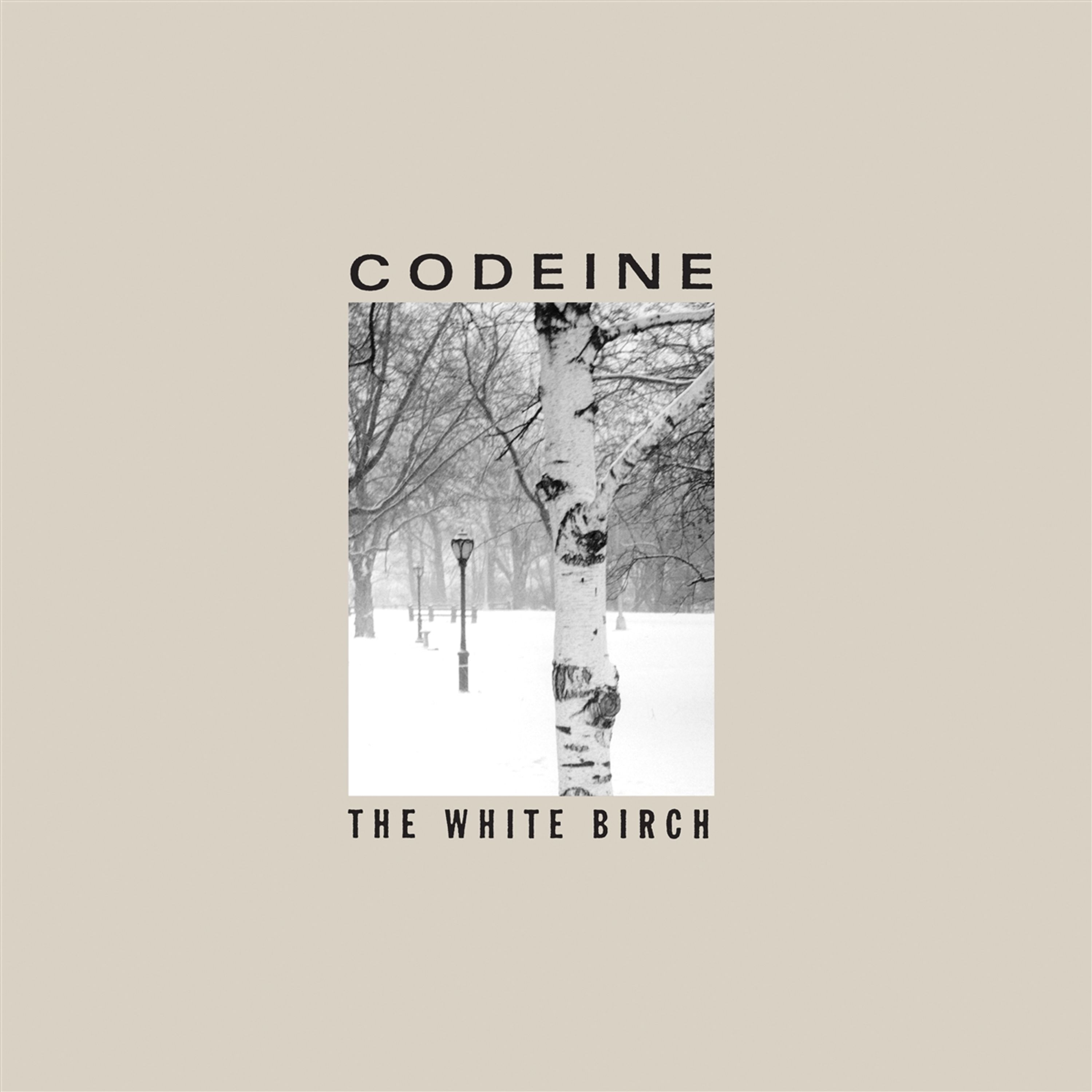 Vinyl Codeine - THE WHITE BIRCH