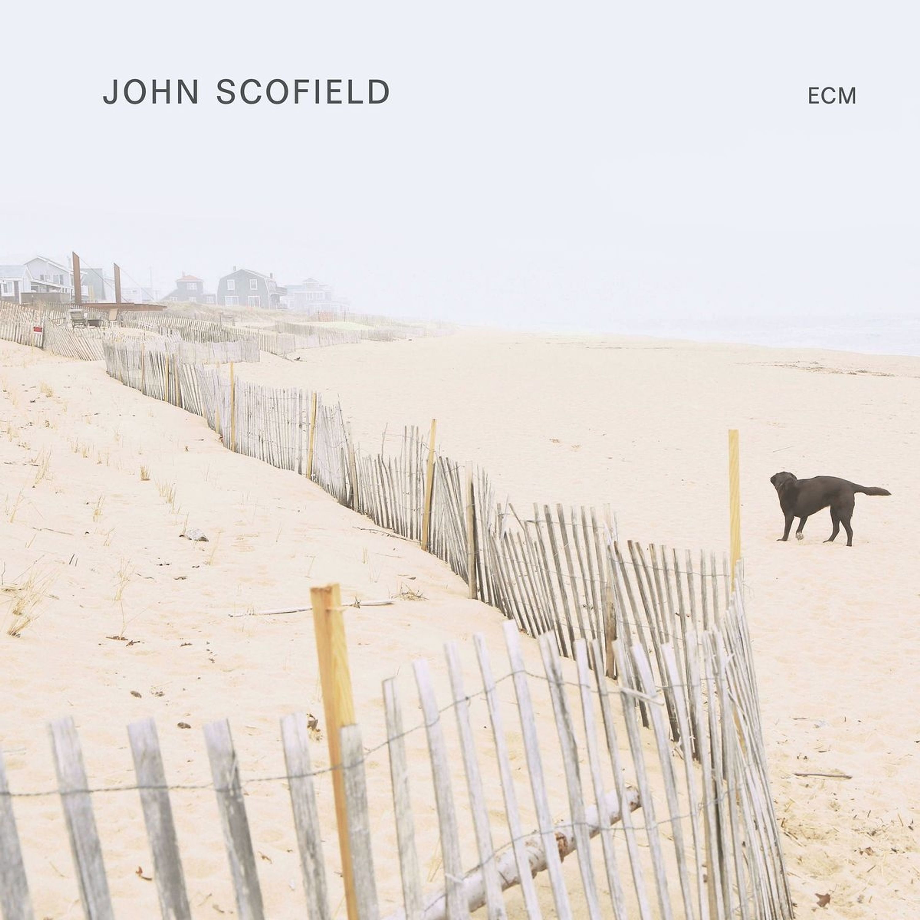 Vinyl John Scofield - JOHN SCOFIELD