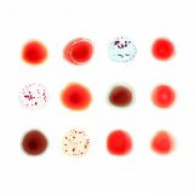 CD Peter Gabriel - SCRATCH MY BACK / AND I'LL SCRATCH YOURS