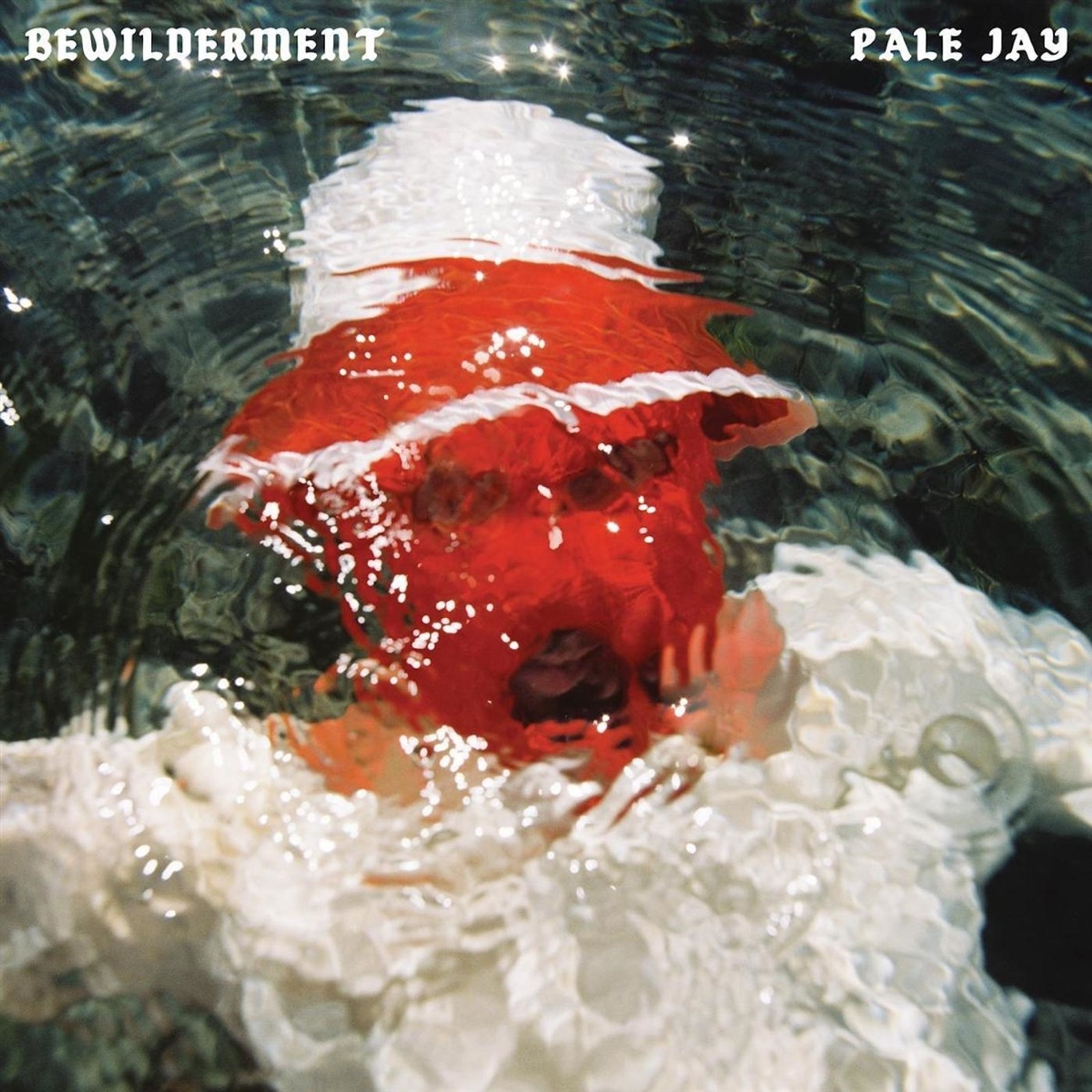 Vinyl Pale Jay - BEWILDERMENT