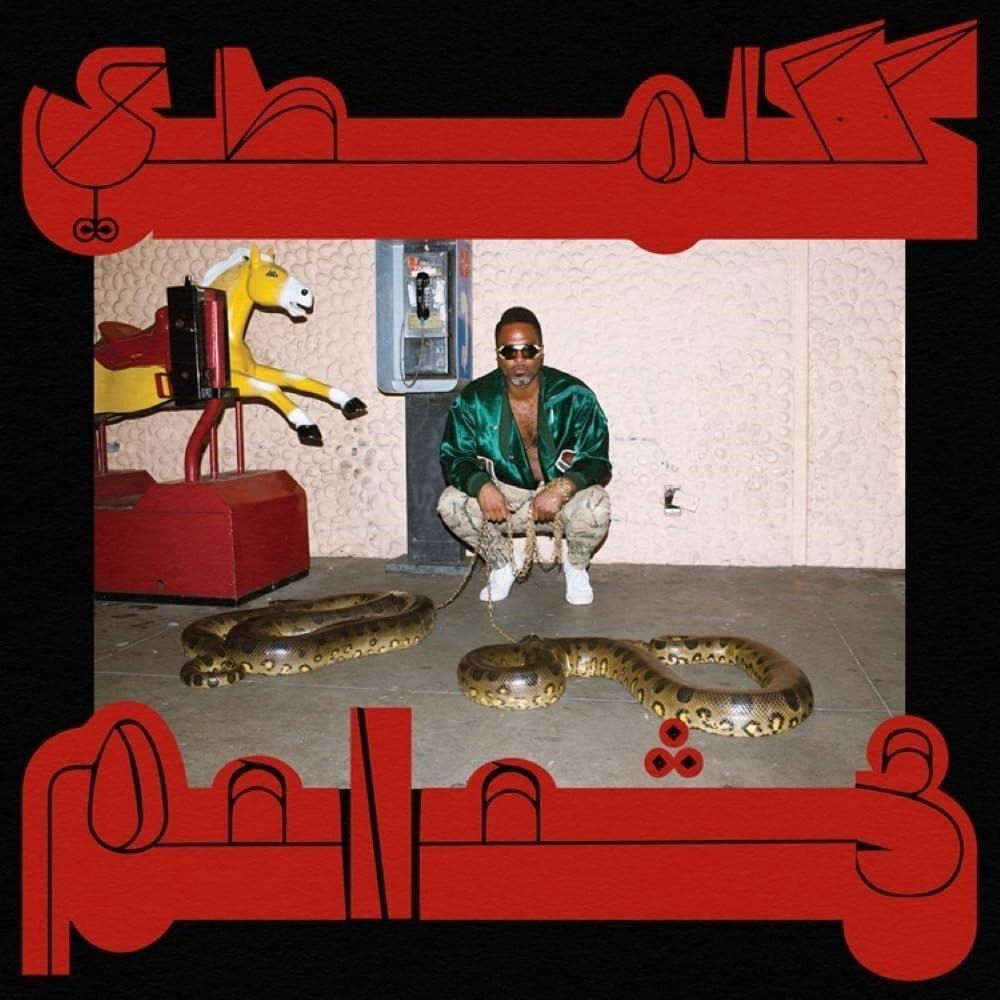 Vinyl Shabazz Palaces - ROBED IN RARENESS