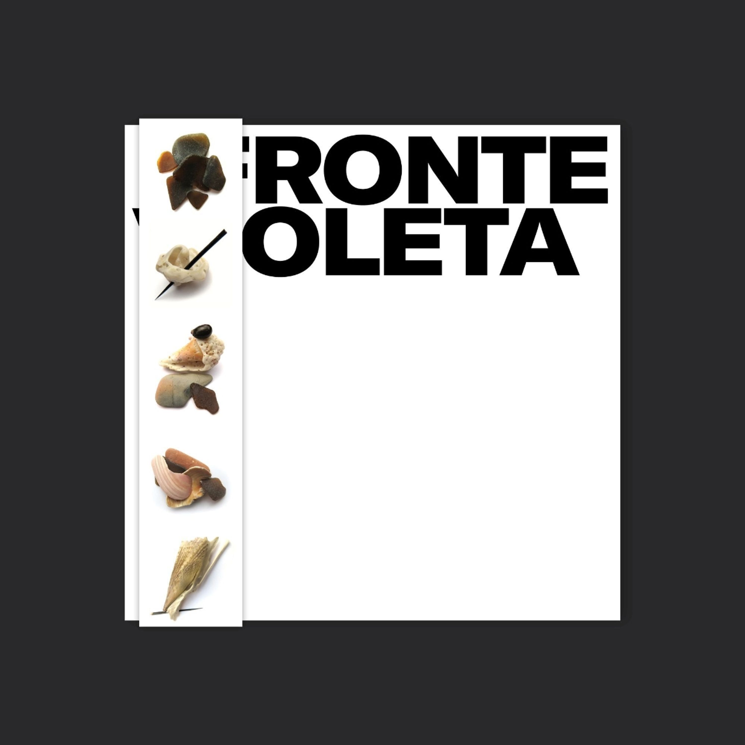 Vinyl - FRONTE VIOLETA