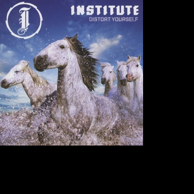 CD Institute - DISTORT YOURSELF