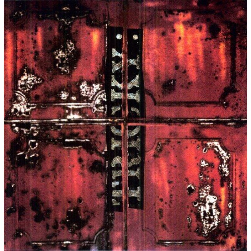 Vinyl Tricky - MAXINQUAYE