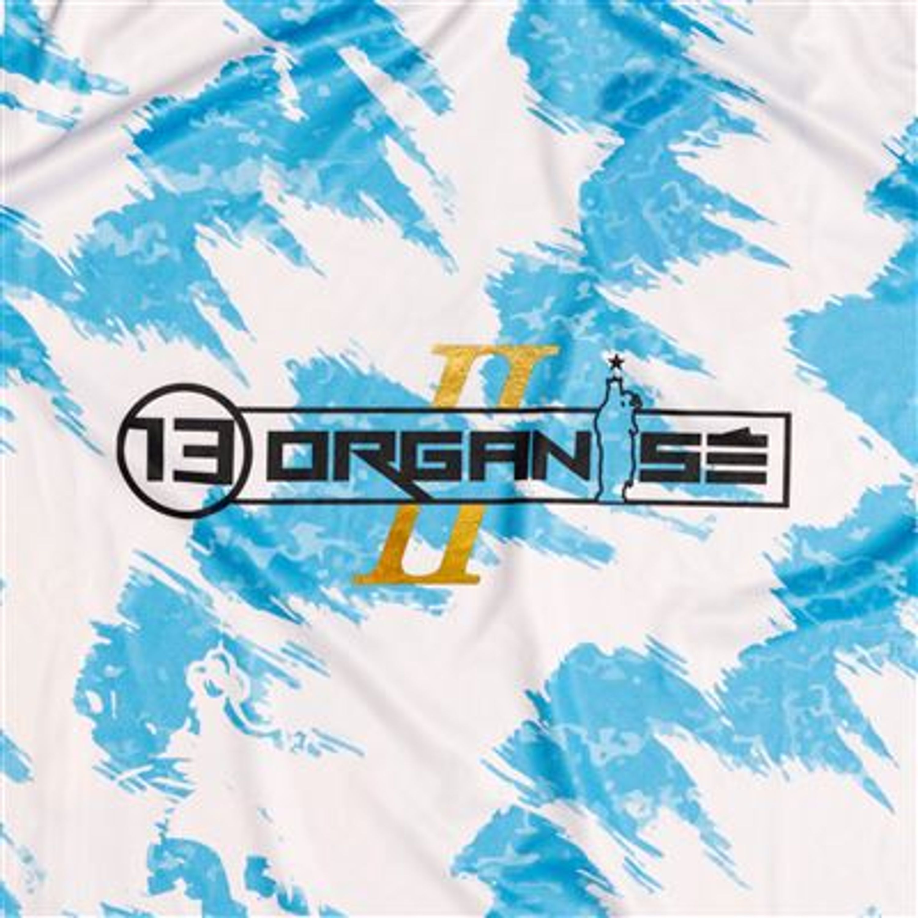 CD 13 Organisé - 13 ORGANISE - VOLUME 2