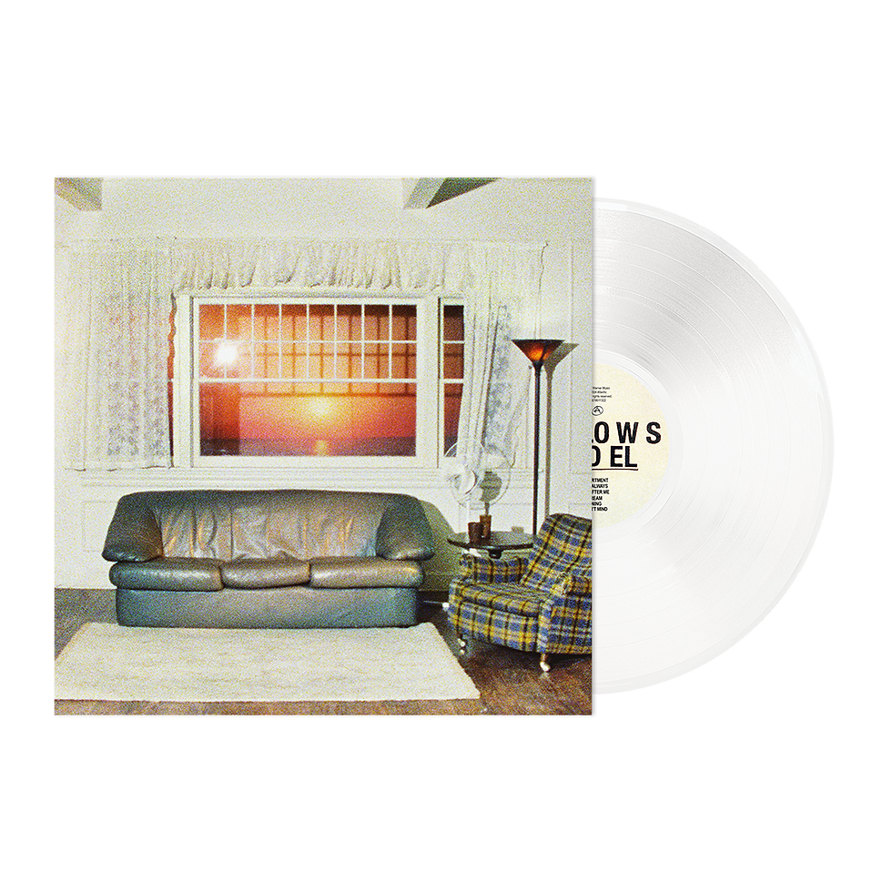 Vinyl Wallows - MODEL (LIMITED EDITION)
