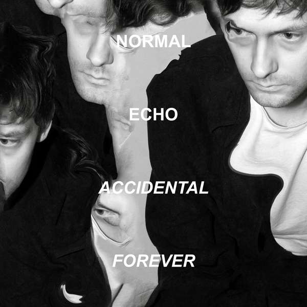 Vinyl Normal Echo - ACCIDENTAL FOREVER