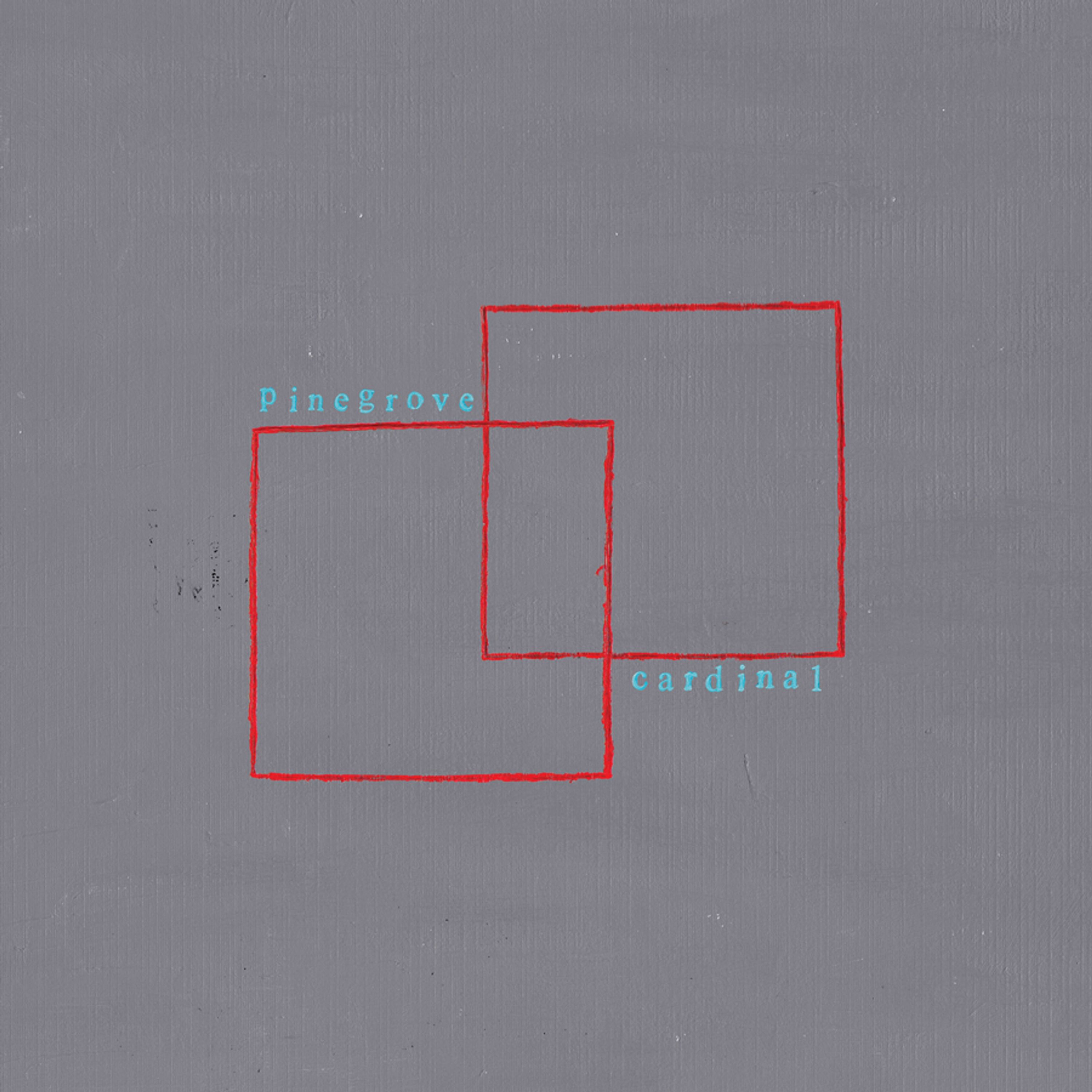 Vinyl Pinegrove - CARDINAL