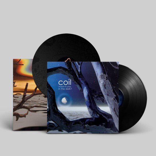 Vinyl Coil - MUSICK TO PLAY IN THE DARK 2