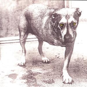 CD Alice In Chains - Alice In Chains