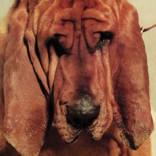 Vinyl Ty Segall - SEGALL, TY - GOODBYE BREAD