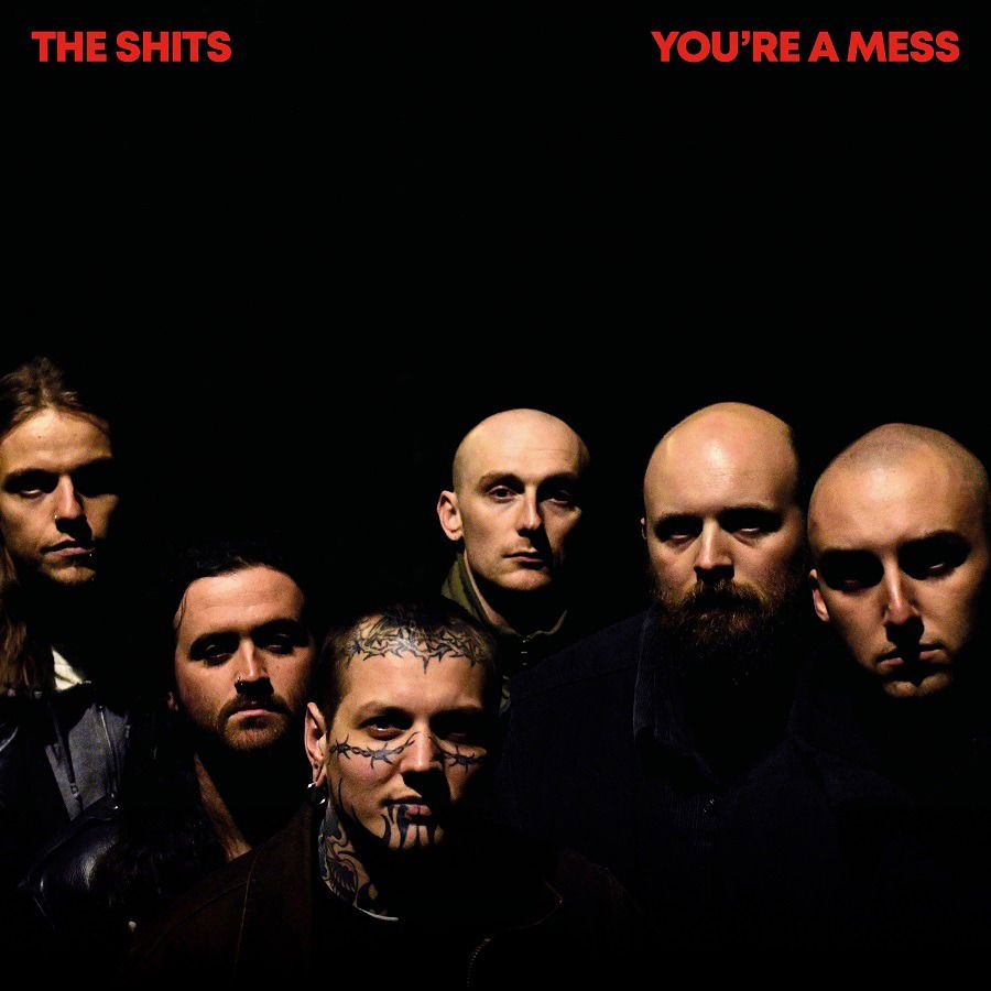 Vinyl The Shits - YOU'RE A MESS