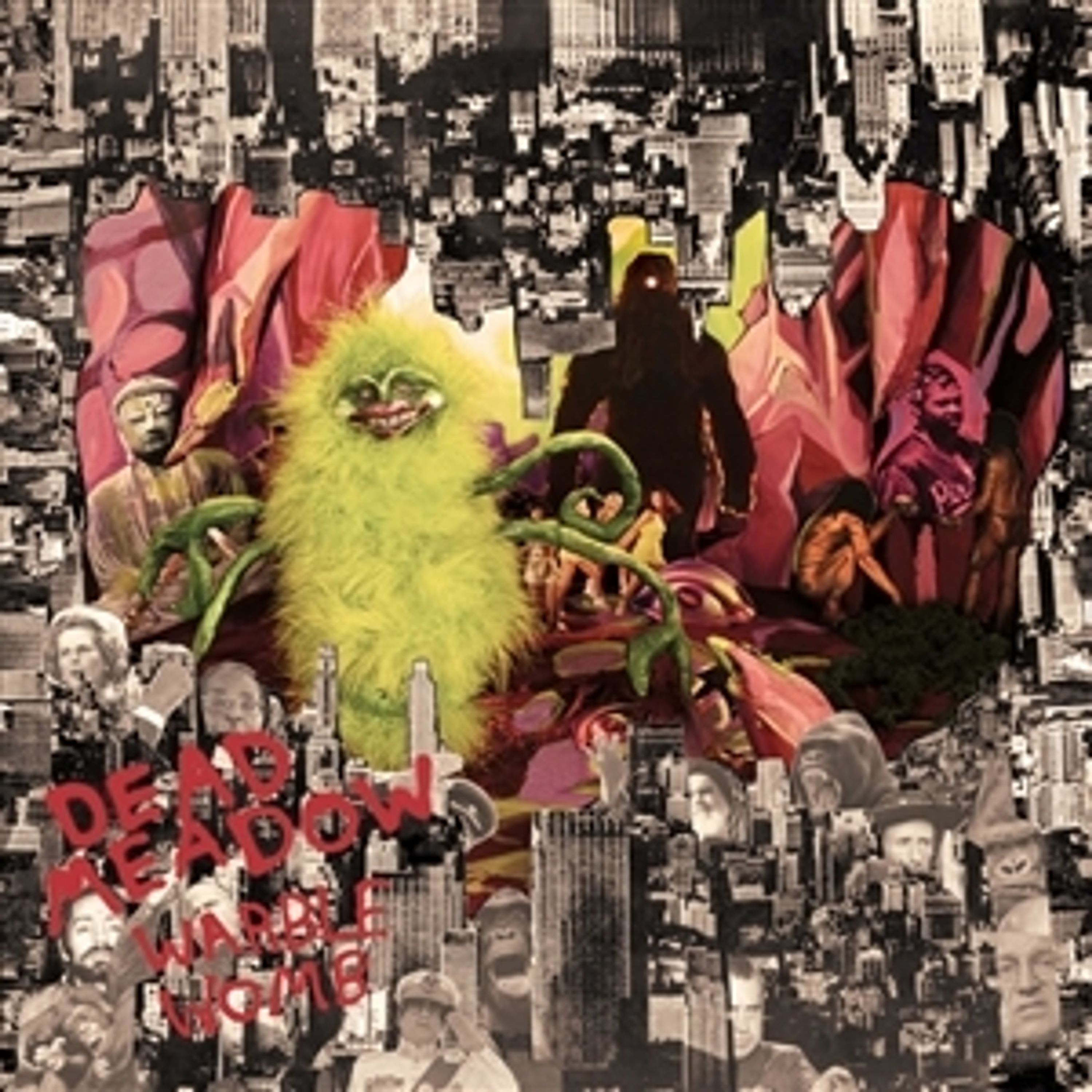Vinyl Dead Meadow - WARBLE WOMB