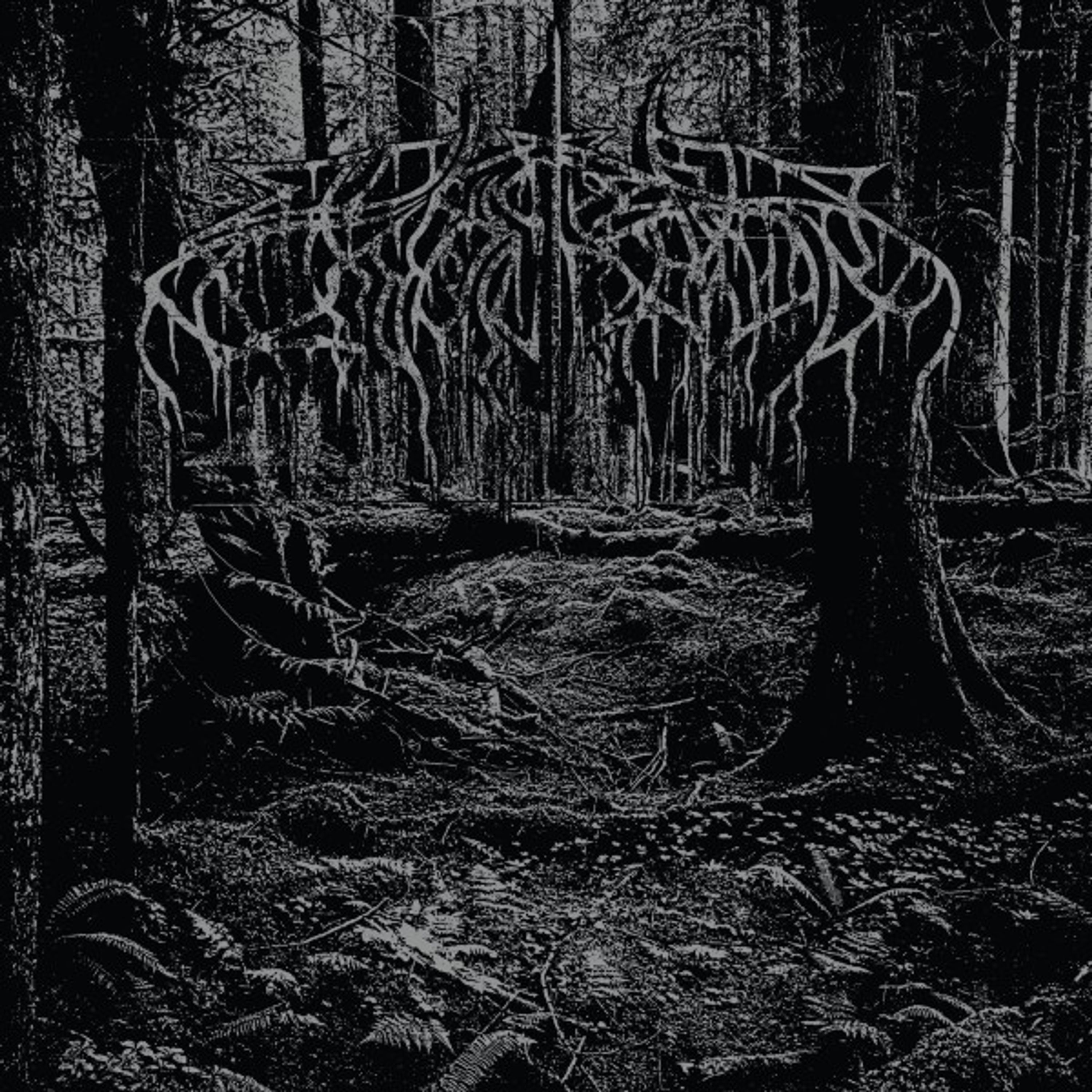 Vinyl Wolves in the Throne Room - 2005 DEMO