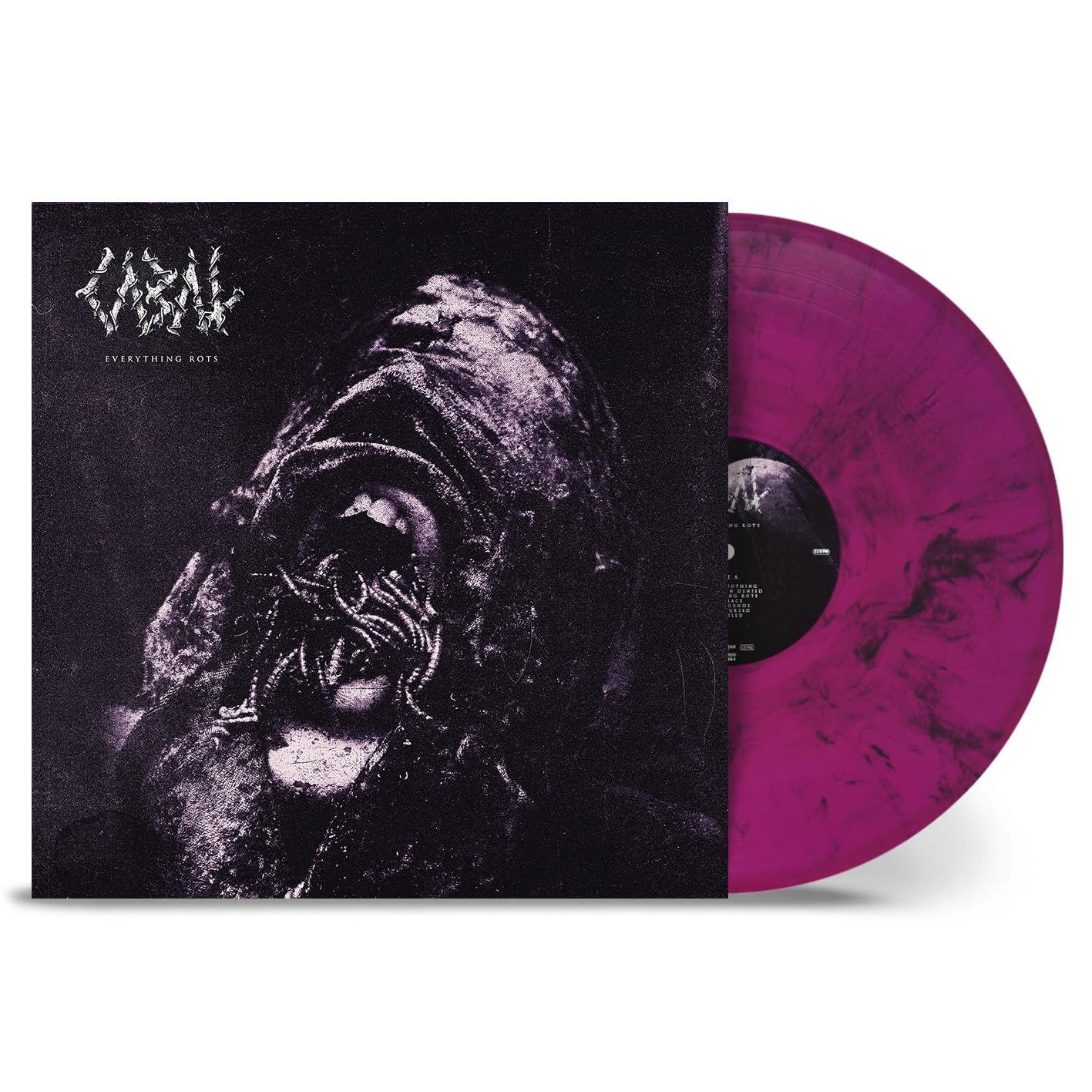 Vinyl Cabal - EVERYTHING ROTS