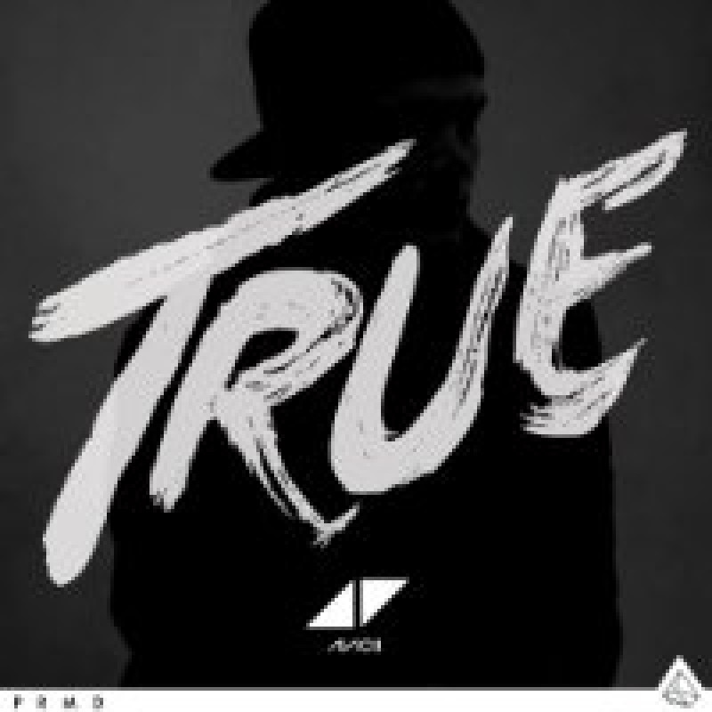 Vinyl Avicii - TRUE