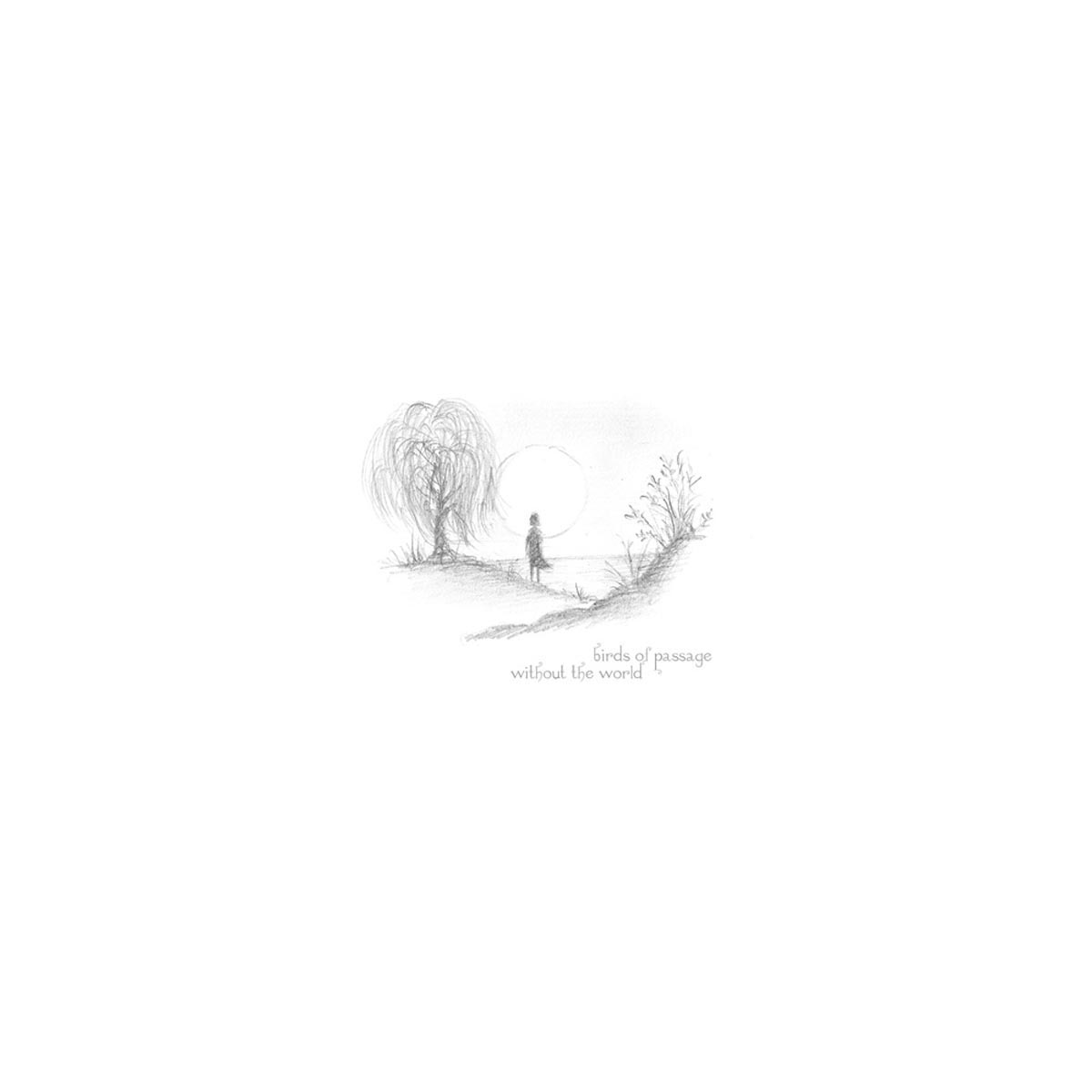Vinyl Birds of Passage - WITHOUT THE WORLD