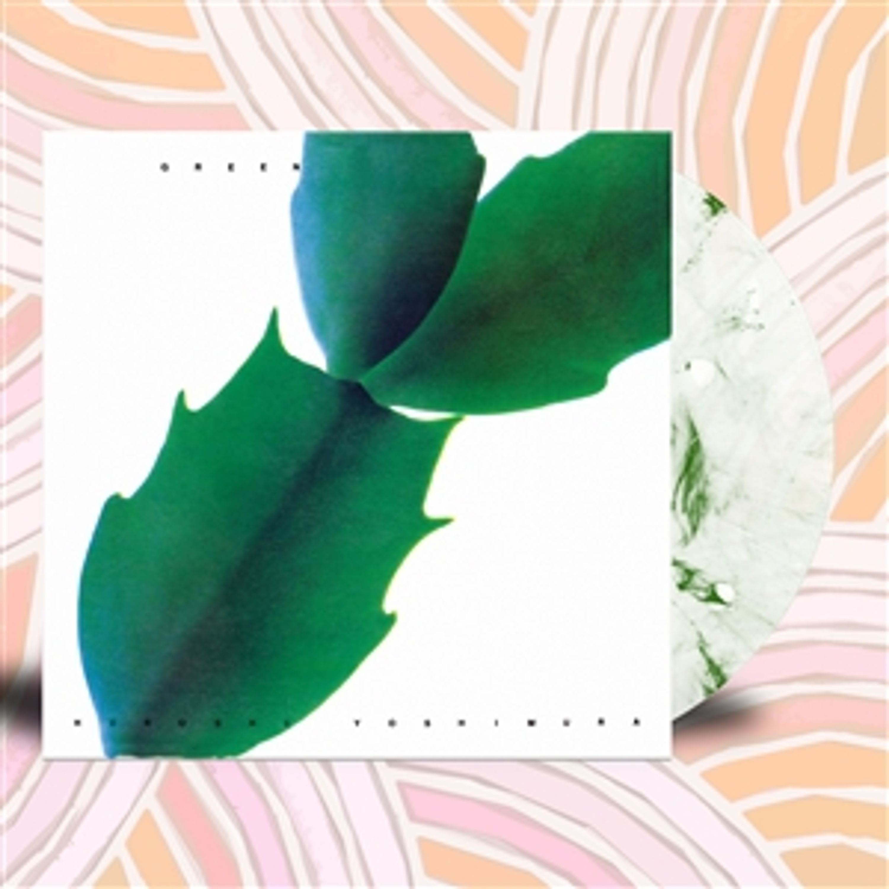 Vinyl Hiroshi Yoshimura - GREEN
