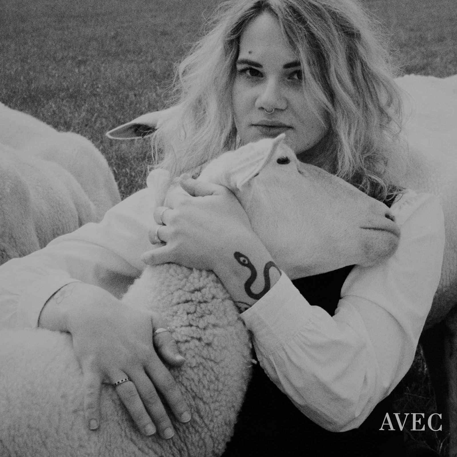 CD AVEC - AVEC