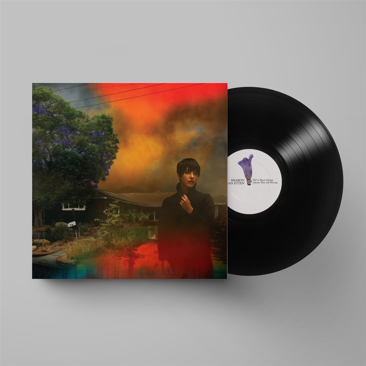 Vinyl Sharon Van Etten - WE'VE BEEN GOING ABOUT THIS ALL WRONG