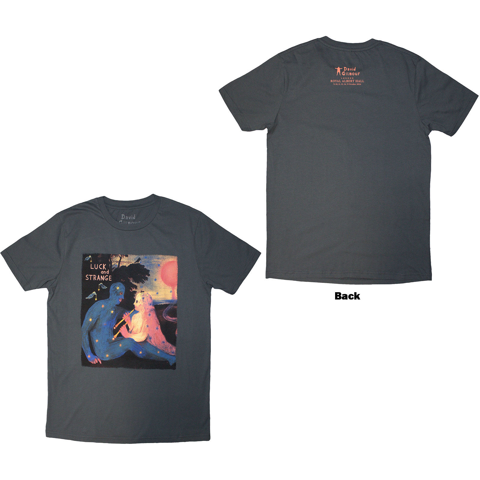 Tričko David Gilmour - Luck & Strange London 2, Unisex,Šedá,3XL