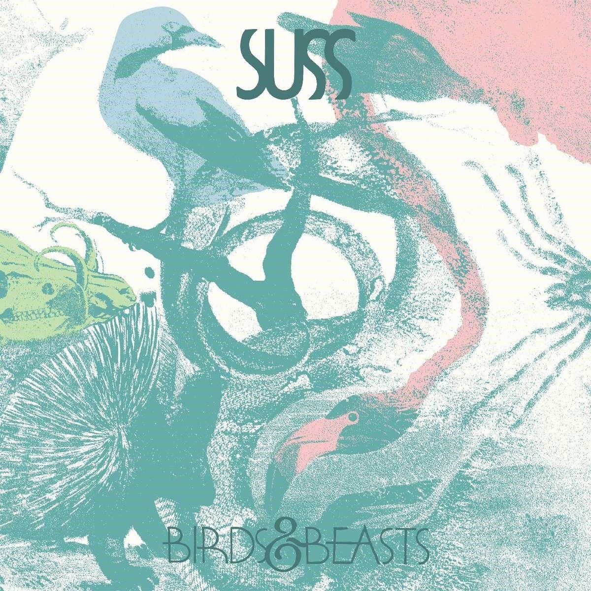 Vinyl SUSS - BIRDS & BEASTS
