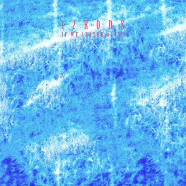 Vinyl 12 Rods - IF WE STAYED ALIVE