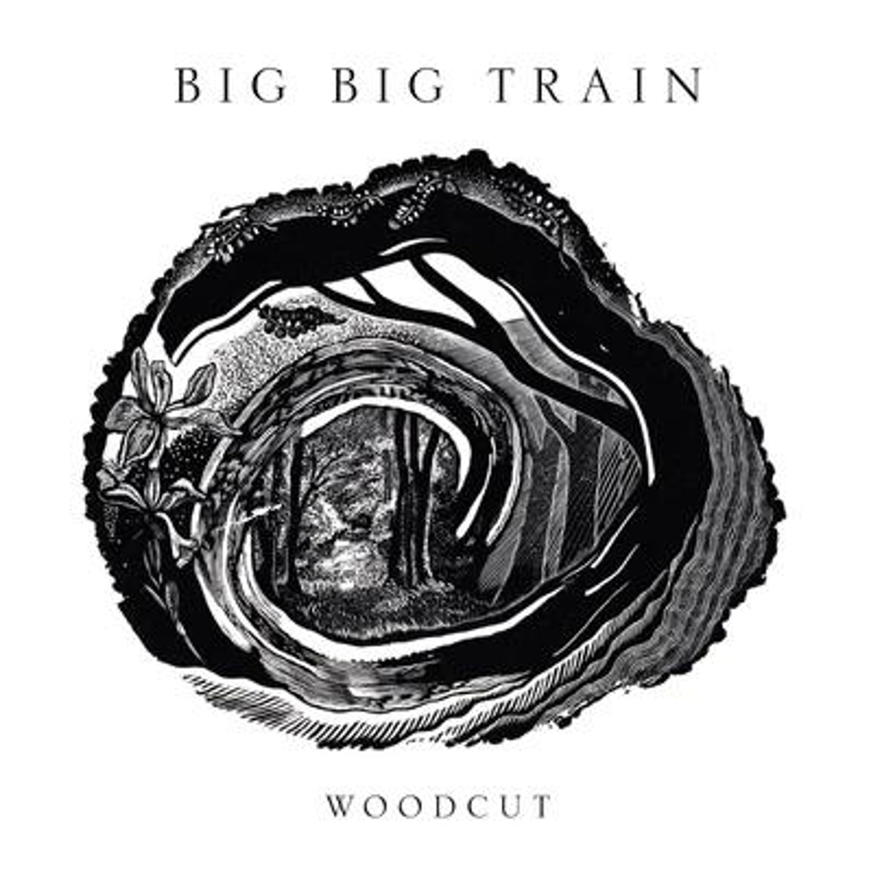 CD Big Big Train - Woodcut