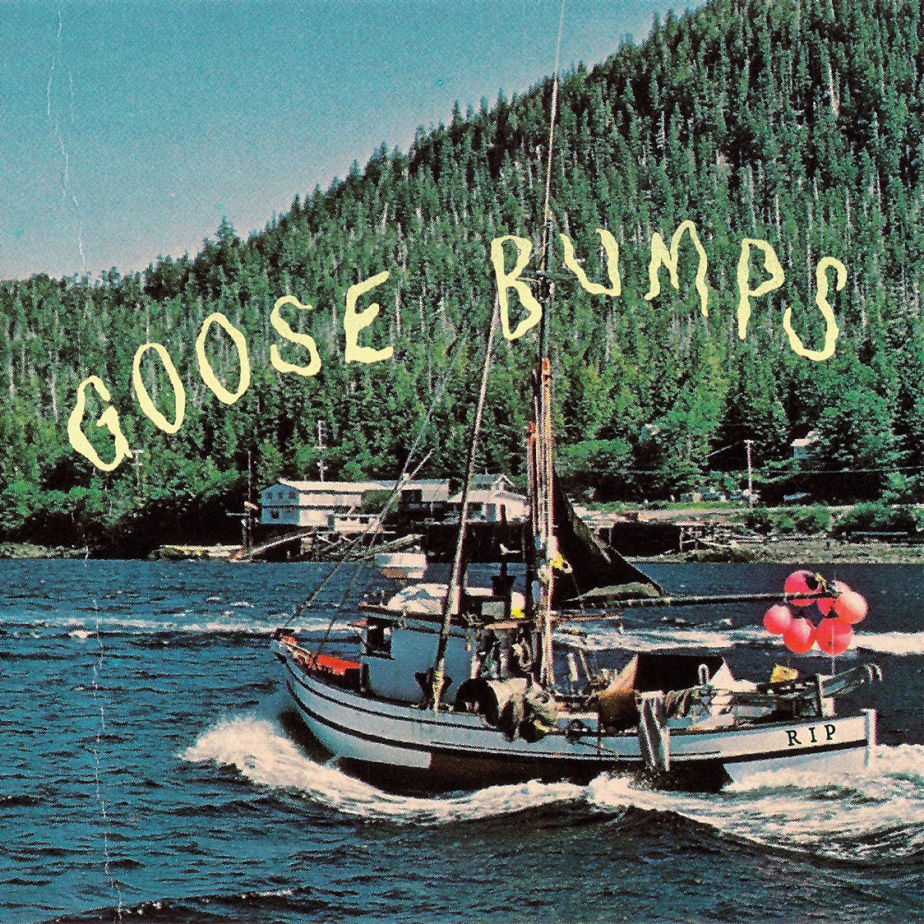 Vinyl BOYSCOTT - GOOSE BUMPS