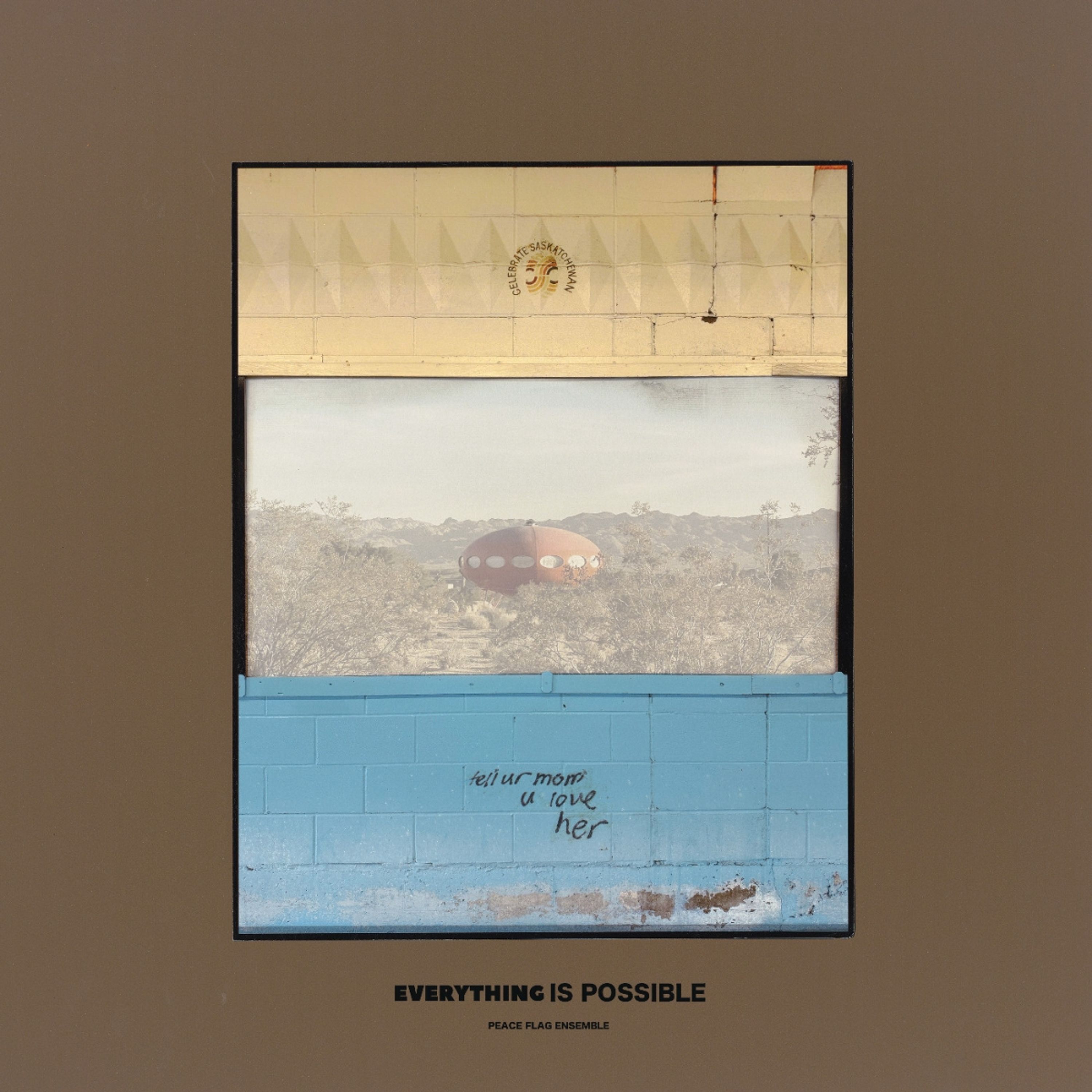 CD - PEACE FLAG ENSEMBLE - EVERYTHING IS POSSIBLE