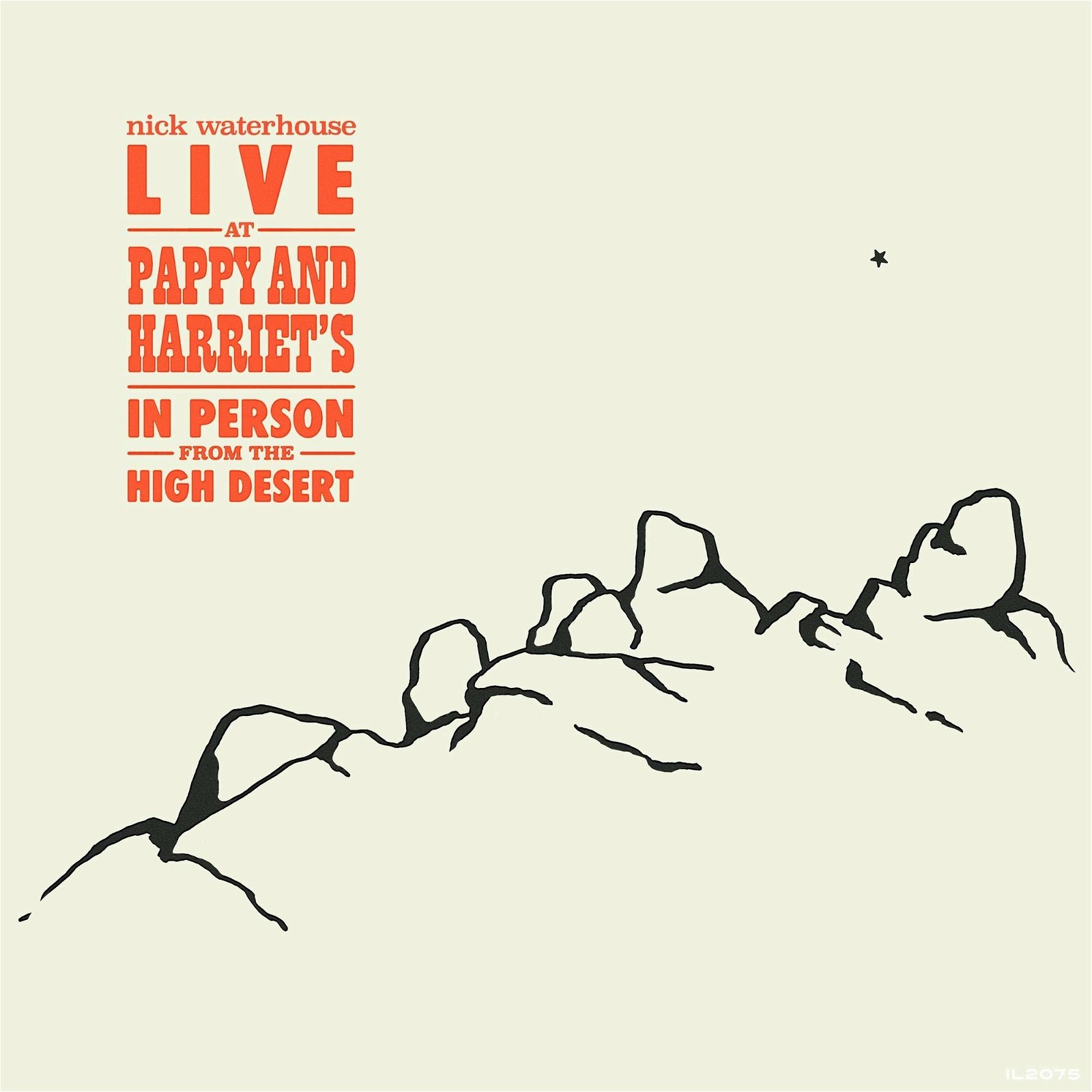 Vinyl Nick Waterhouse - LIVE AT PAPPY & HARRIET'S: IN PERSON FROM THE HIGH DESERT