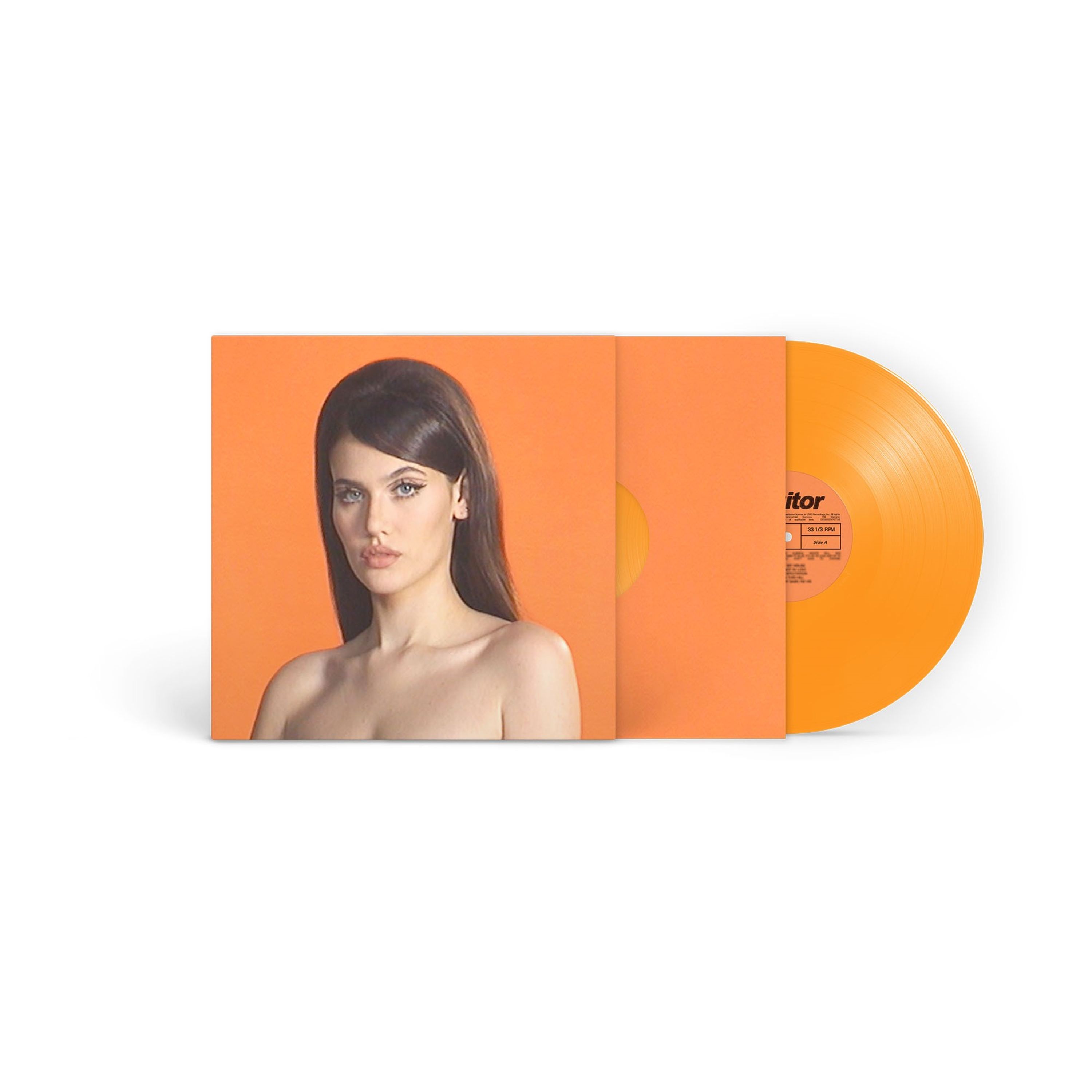 Vinyl - VISITOR