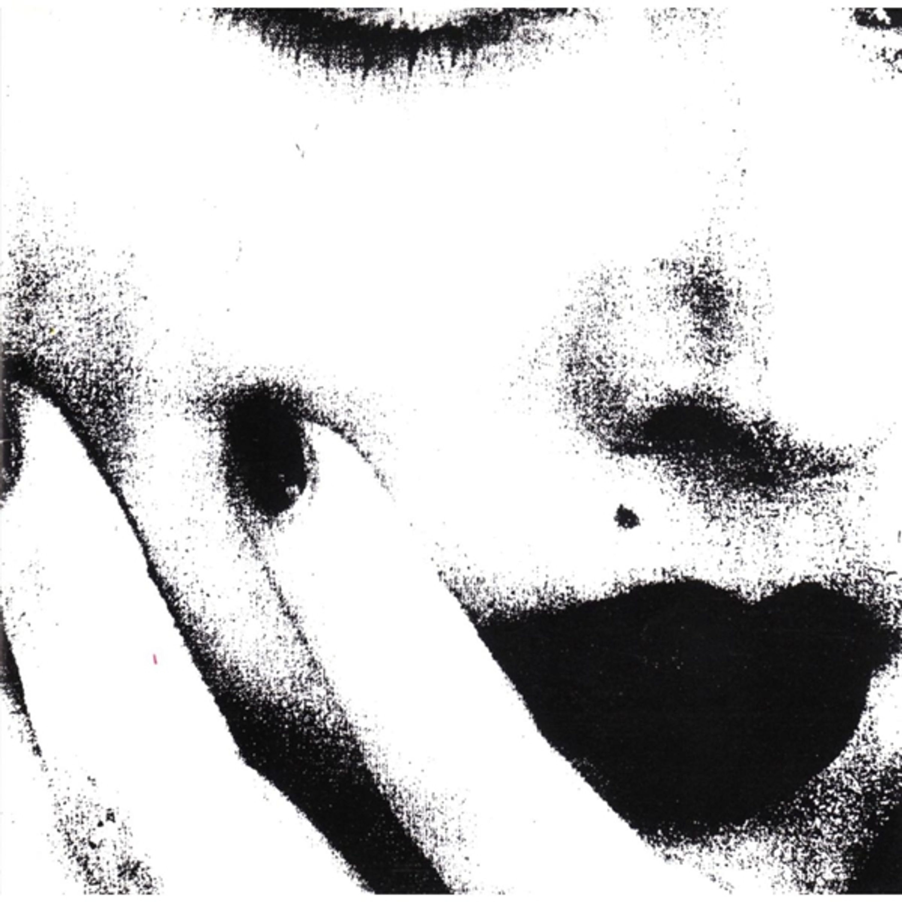 CD Ciccone Youth - THE WHITEY ALBUM