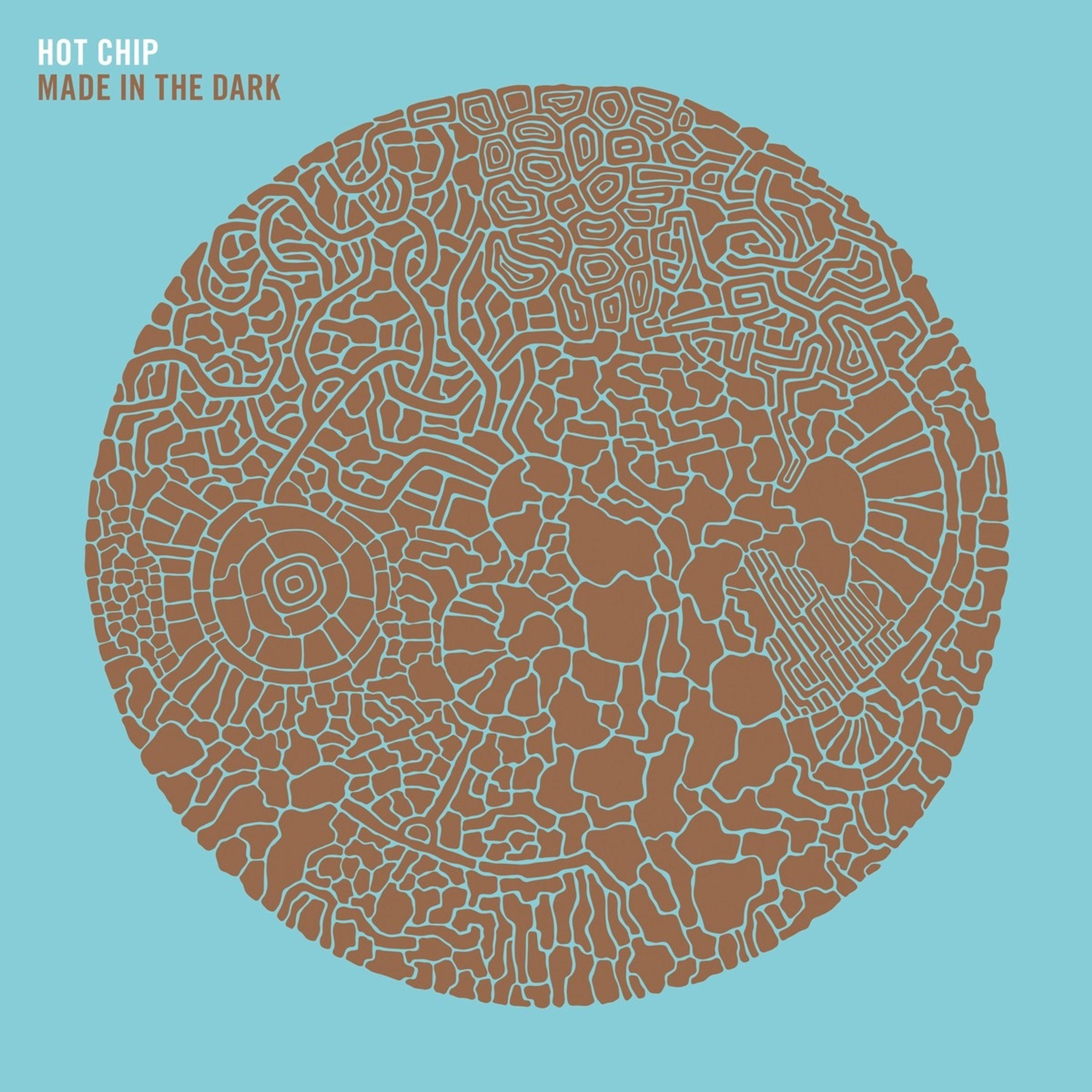 Vinyl Hot Chip - MADE IN THE DARK