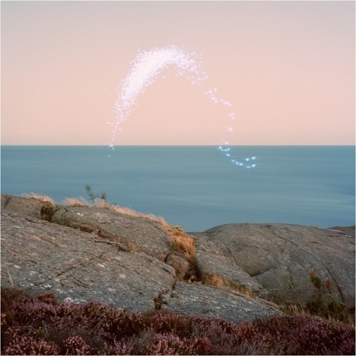 Vinyl Cassandra Jenkins - AN OVERVIEW ON PHENOMENAL NATURE